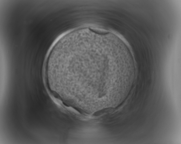 X0000085231056200703301721