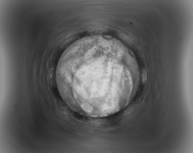 X0000085231059200703301720