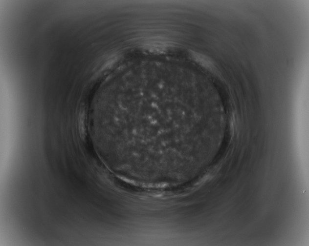 X0000085231060200703301720