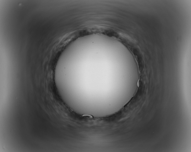 X0000085231061200703301720