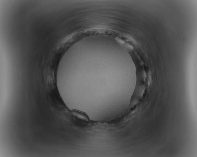 X0000085231062200703301720