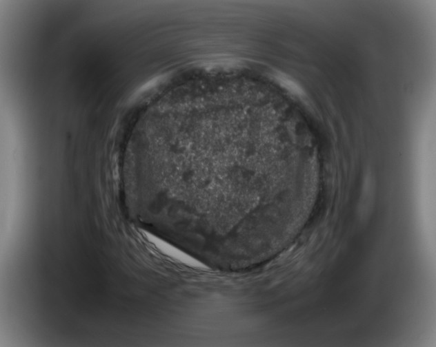X0000085231063200703301720