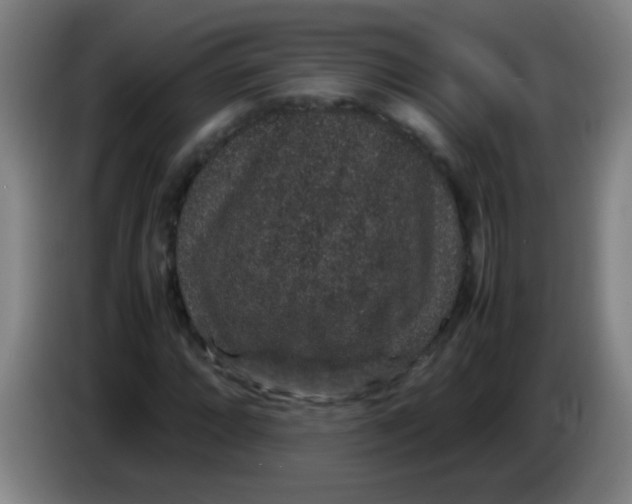 X0000085231064200703301720