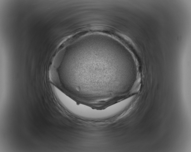 X0000085231065200703301720