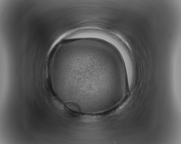 X0000085231069200703301720