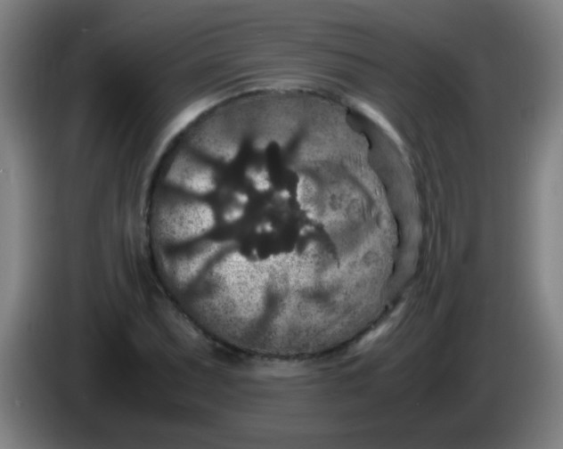 X0000085231071200703301720