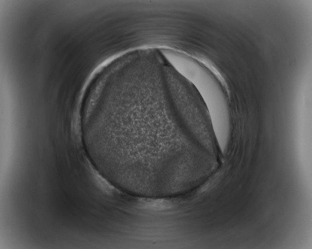 X0000085231072200703301720