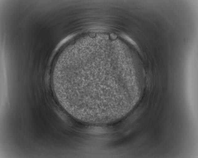 X0000085231074200703301720