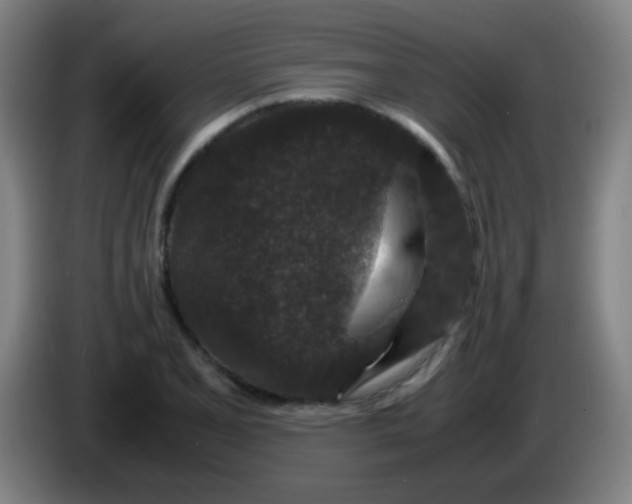 X0000085231077200703301720