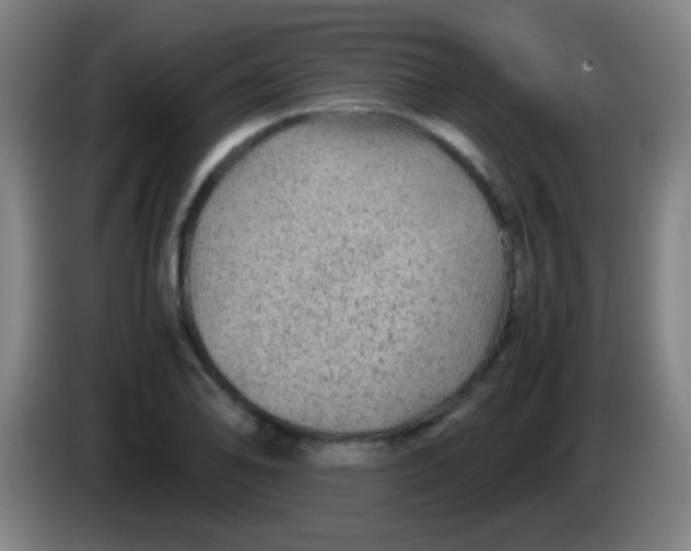 X0000085231078200703301720