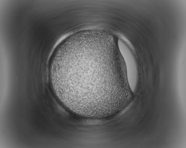 X0000085231079200703301720