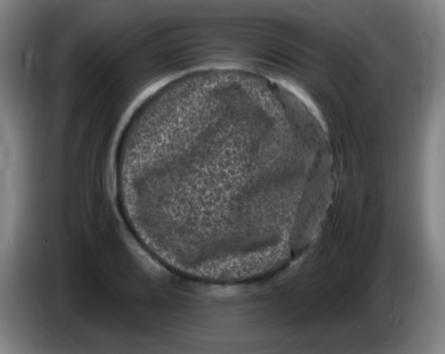 X0000085231080200703301720