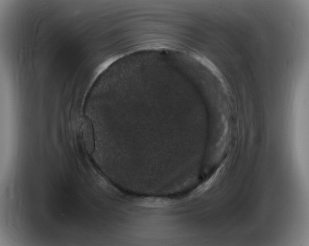 X0000085231081200703301720