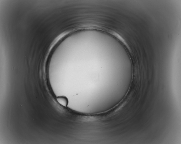 X0000085231082200703301720