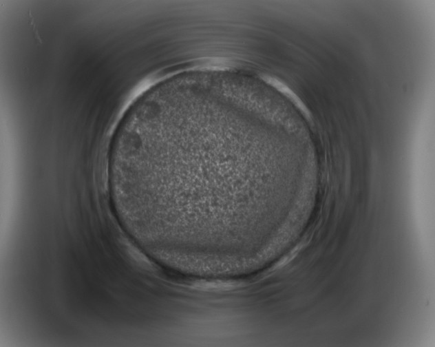 X0000085231083200703301720