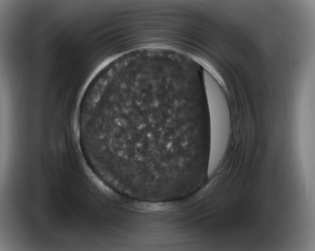 X0000085231084200703301720