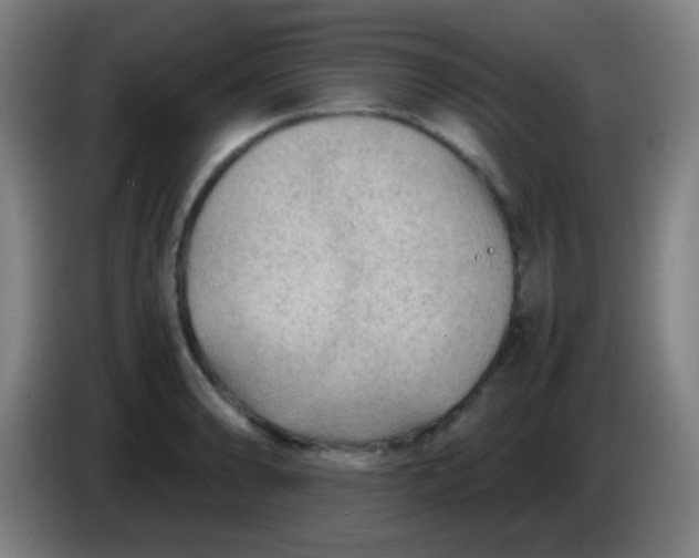 X0000085231086200703301720