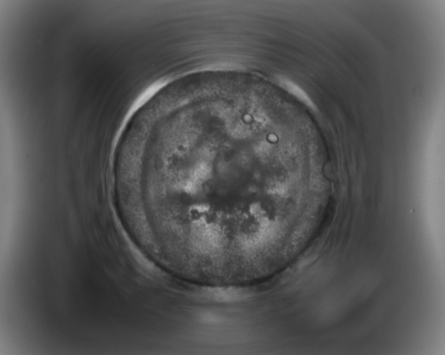 X0000085231087200703301720