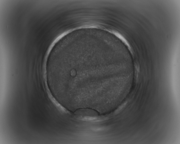 X0000085231088200703301720