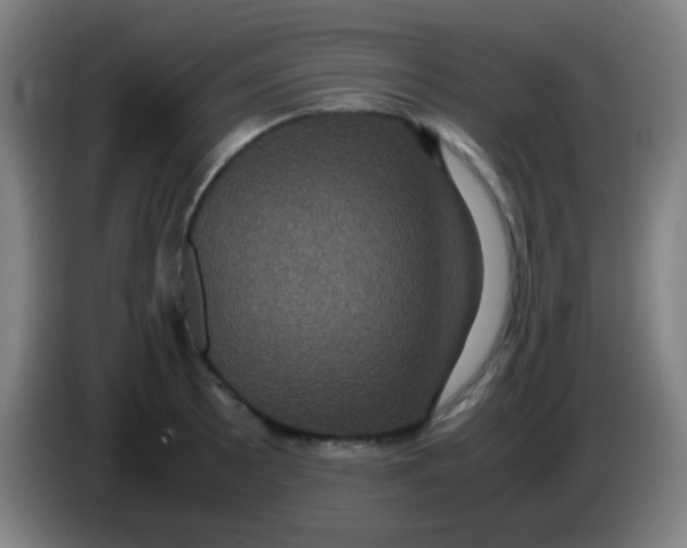 X0000085231089200703301720