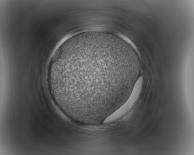 X0000085231091200703301720