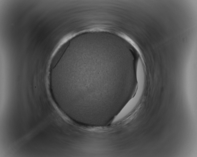 X0000085231093200703301720