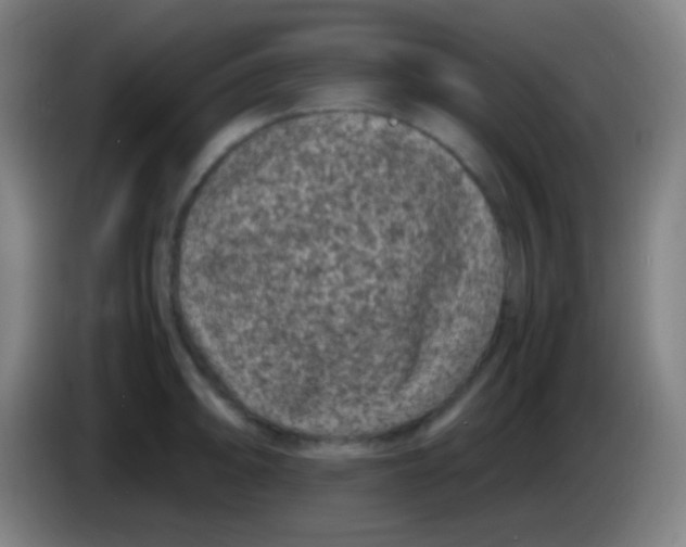 X0000085231094200703301720
