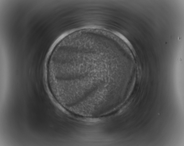 X0000085231096200703301720