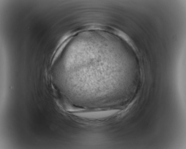 X0000085231097200703301719