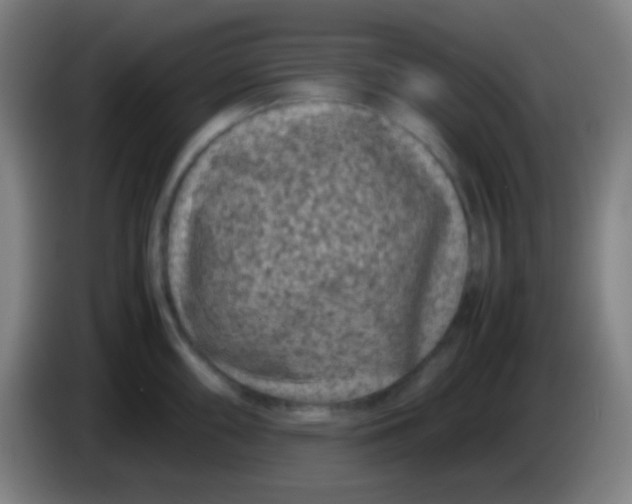 X0000085231098200703301719