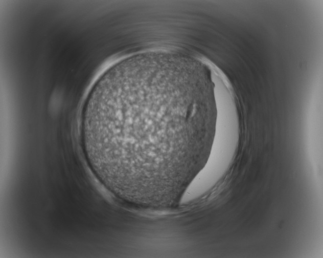 X0000085231099200703301719