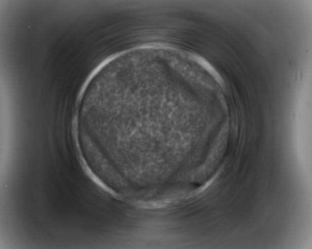 X0000085231100200703301719