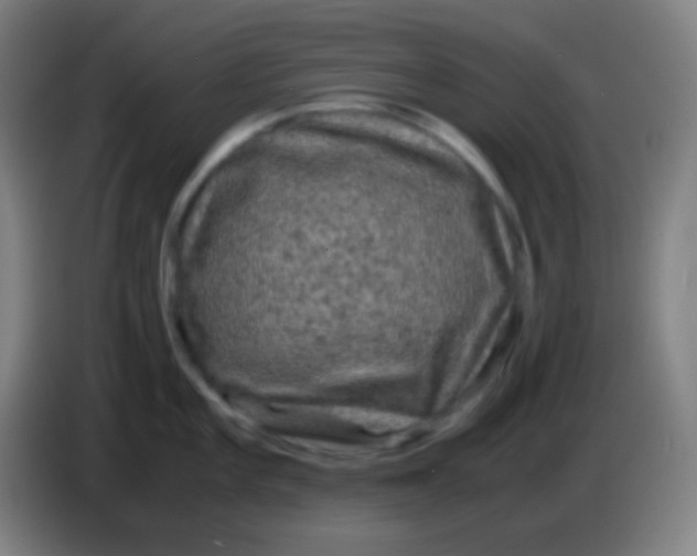 X0000085231101200703301719