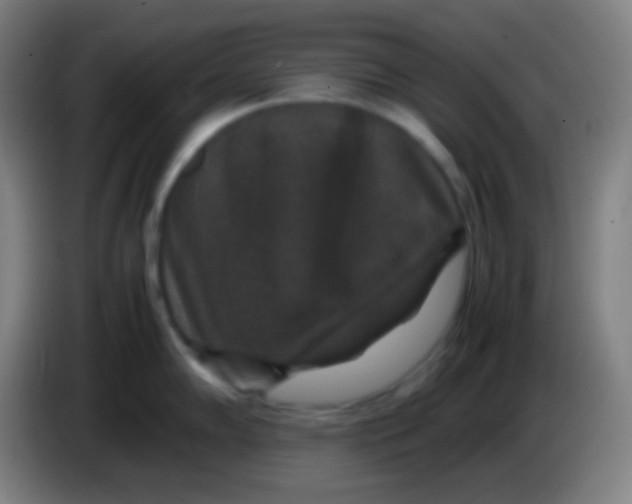 X0000085231102200703301719