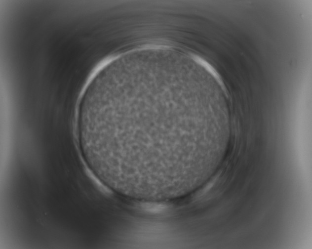 X0000085231103200703301719