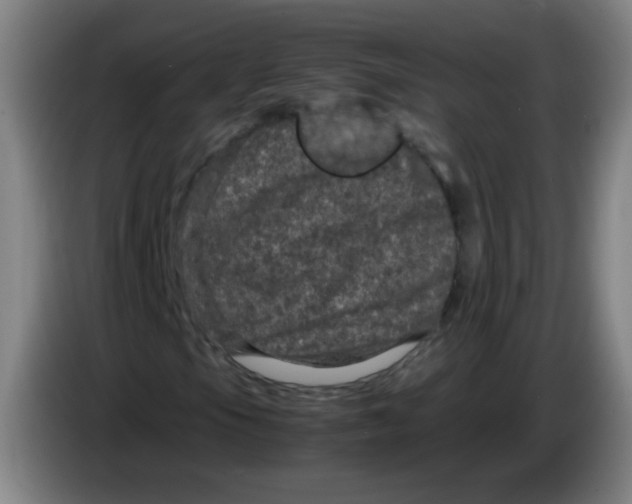 X0000085231105200703301719