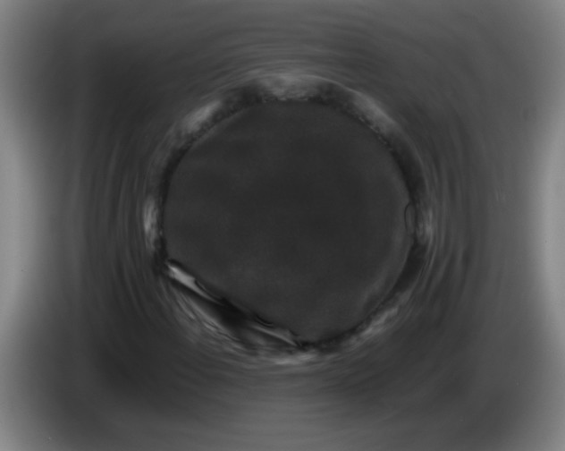 X0000085231108200703301719