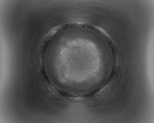 X0000085231110200703301719