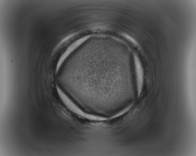 X0000085231112200703301719