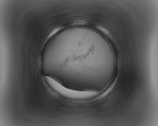 X0000085231113200703301719