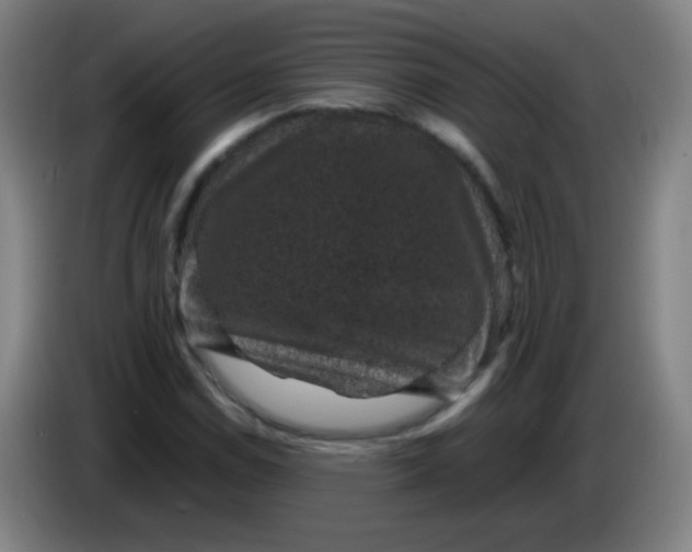X0000085231114200703301719