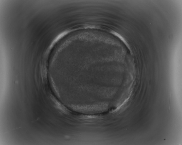 X0000085231115200703301719