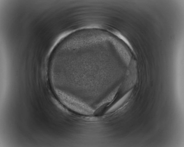 X0000085231116200703301719