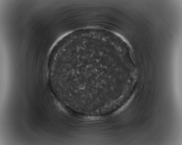 X0000085231117200703301719