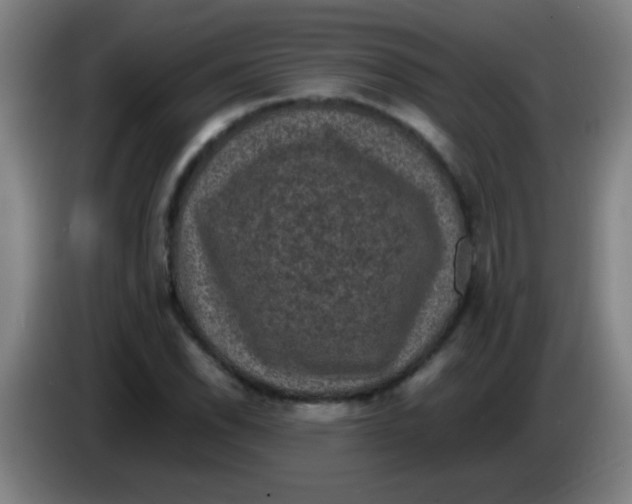 X0000085231118200703301719