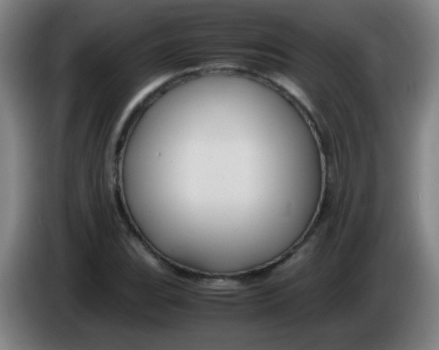 X0000085231119200703301719