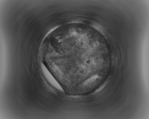 X0000085231121200703301719