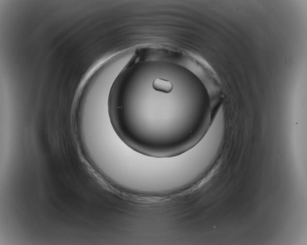 X0000085231122200703301719