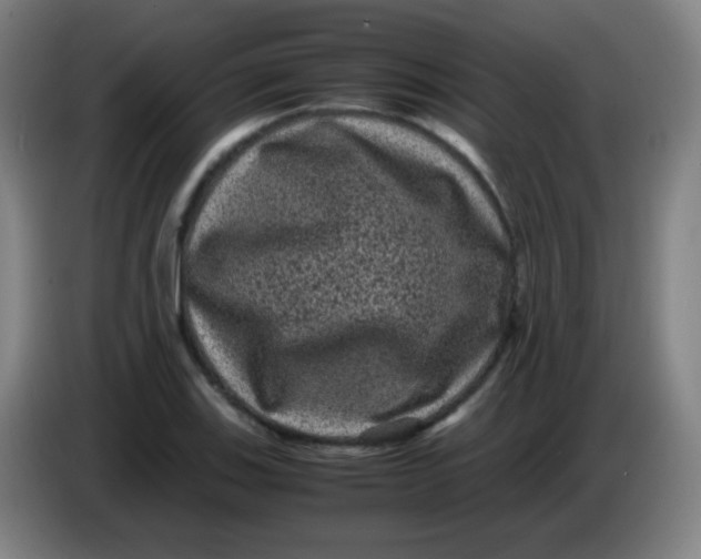 X0000085231123200703301719