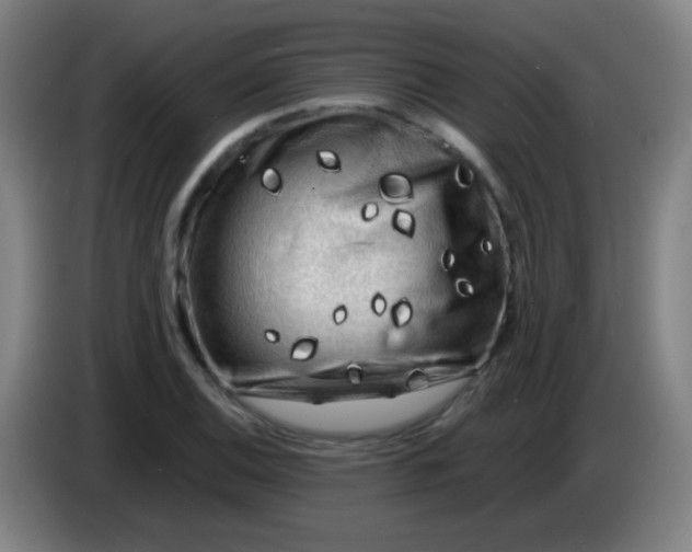 X0000085231124200703301719